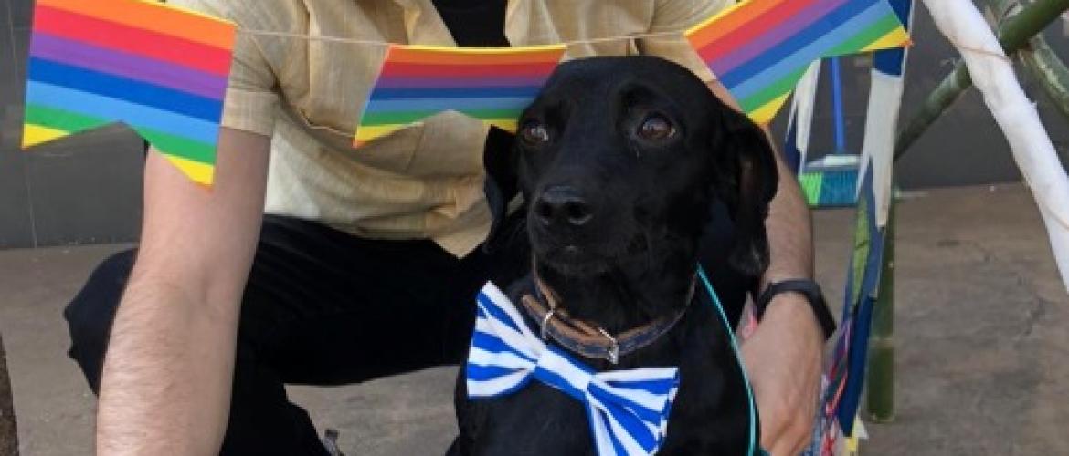 Empresa adota um cachorro de rua e vira exemplo em Uraí
